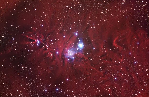 NGC 2264 - The "Cone Nebula"
"...Una dies aperit, conficit una dies..."

(Ausonio)

"...In un istante si apre a noi la Vita, ed in un istante Essa a noi si chiude..."
Parole chiave: From Earth Images