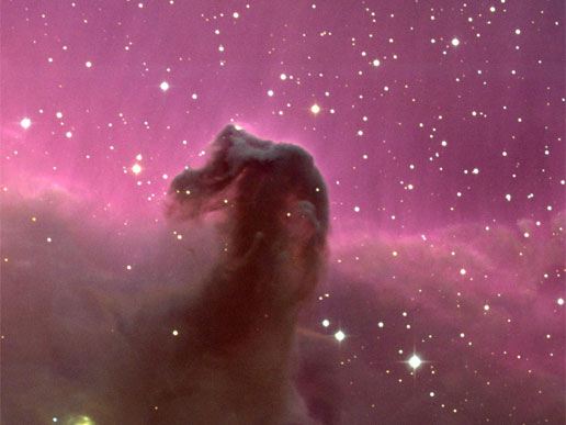 M 43 - "Horse-Head Nebula" in Orion
"...Un cavallo, presto, un cavallo! Il mio Regno per un cavallo..."

(W. Shakespeare - Riccardo III)
Parole chiave: From Earth Images