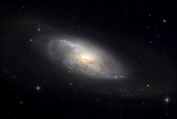 M 106 - Spiral Galaxy
"...Valet ima summis 
Mutare, et insignem attenuat Deus
Obscura promens..."

(Orazio)

"...Dio può mutare il sommo in infimo, e (può altresì) mutare l'acceso in tenue, spargendo la Luce dove sono le Tenebre..."
Parole chiave: From Earth Images