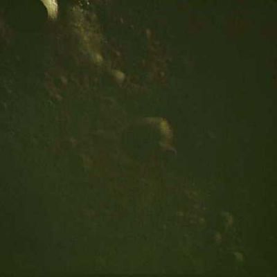 AS 13-60-8612 - Moon from orbit
Per coloro che hanno avuto occasione di "vivere" la (per fortuna scampata) tragedia dell'Apollo 13, credo che il ricordo del rientro degli astronauti sulla Terra rappresenti ancora, sia pure a distanza di tanti anni, un'emozione intensa e davvero particolare. Per coloro che, invece, non c'erano, si suggerisce la visione del già citato film "Apollo 13". E' un gran bel film e, a quanto ci risulta, anche una pellicola molto realista, fedele agli eventi (almeno per quanto di essi conosciamo "pubblicamente"...) e di sicuro impatto.
Parole chiave: Moon from orbit