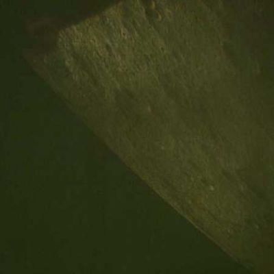 AS 13-60-8623 - Moon from orbit
Il tempo di un singolo fotogramma e l'oggetto - perchè di oggetto (secondo noi) si trattava - è sparito. Parlando di UFO, dobbiamo dire che l'apparizione di "sfere argentee" di modeste - se non addirittura "piccole" - dimensioni (da mezzo metro ad un metro e mezzo di diametro apparente), non è un fatto nuovo, anzi. Svariati avvistamenti "da Terra" parlano o addirittura mostrano, sia attraverso fotografie, sia tramite filmati, delle "sfere" color alluminio o bianco scintillante che si muovono nel cielo, ora da sole, ora in gruppi e che, talvolta, si affiancano e/o seguono per un certo tempo degli aerei in volo.
Parole chiave: Moon from orbit