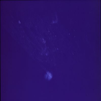 APOLLO 13 AS 13-60-8609 - A "reflection" on the edge of the Moon (2)
vedi commento al frame precedente
Parole chiave: Controversial