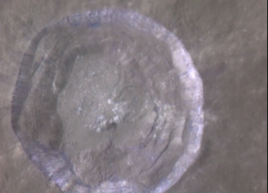 153 - Kepler Crater (multispectral image)
nessun commento
Parole chiave: The Moon from orbit - Clementine (Kepler Crater)