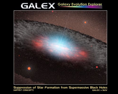 Black Hole
This artist's concept depicts a supermassive black hole at the center of a galaxy. NASA's Galaxy Evolution Explorer found evidence that black holes -- once they grow to a critical size -- stifle the formation of new stars in elliptical galaxies. Black holes are thought to do this by heating up and blasting away the gas that fuels star formation. 

The blue color here represents radiation pouring out from material very close to the black hole. The grayish structure surrounding the black hole, called a torus, is made up of gas and dust. Beyond the torus, only the old red-colored stars that make up the galaxy can be seen. There are no new stars in the galaxy. 


Parole chiave: Artistic Interpretations of the Universe