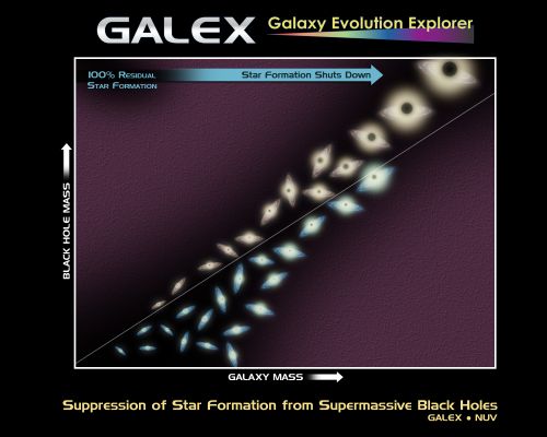Black Holes
This diagram illustrates research from NASA's Galaxy Evolution Explorer showing that black holes -- once they reach a critical size -- can put the brakes on new star formation in elliptical galaxies. 

In this graph, galaxies and their supermassive black holes are indicated by the drawings (the black circle at the center of each galaxy represents the black hole). The relative masses of the galaxies and their black holes are reflected in the sizes of the drawings. Blue indicates that the galaxy has new stars, while red means the galaxy does not have any detectable new stars. 

The Galaxy Evolution Explorer observed the following trend: the biggest galaxies and black holes (shown in upper right corner) are more likely to have no observable star formation (red) than the smaller galaxies with smaller black holes. This is evidence that black holes can create environments unsuitable for stellar birth. 

The white line in the diagram illustrates that, for any galaxy no matter what the mass, its black hole must reach a critical size before it can shut down star formation. 


Parole chiave: Graphs and Spectra