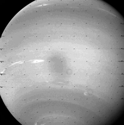 On the way to Neptune...
nessun commento
Parole chiave: Neptune's Fly-By
