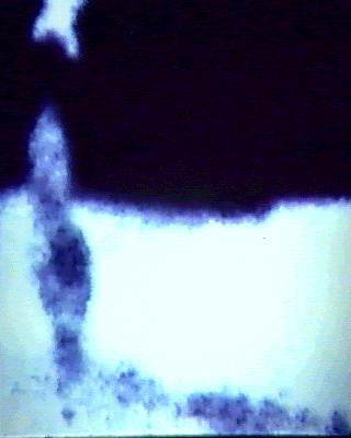 The famous "Shard", on the Moon (2)
nessun commento
Parole chiave: Moon from orbit - the "Shard"