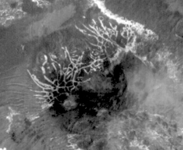 Channels's Network in Uzboi Vallis (2 - EDM)
Forse ci sbagliamo, ma il ragionamento che sta alle spalle dell'enfasi posta sulle (onestamente meno probabili, in termini di vita secondo lo schema terrestre) analogie Terra/Titano e sulla costante indifferenza rispetto alle (decisamente più plausibili) analogie Terra/Marte, dovrebbe trovare la sua ragione in questo: è molto più semplice (ed anche molto più sicuro) far "girare a vuoto" la mente degli Osservatori suggerendo loro delle ipotesi affascinanti, ma improbabili, piuttosto che rinforzare le supposizioni e le aspettative già esistenti ponendo accenti sempre più marcati sulle profonde (e talora inequivocabili) similitudini esistenti fra il nostro Mondo e Marte.

Non dimentichiamo, infatti che il Pianeta Rosso non è solo più vicino e familiare, ma è anche - decisamente - più accessibile ad una verifica diretta: in fondo, sono solo cinque mesi e mezzo di viaggio...
Parole chiave: Mars from orbit - Channels/Troughs - controversial image