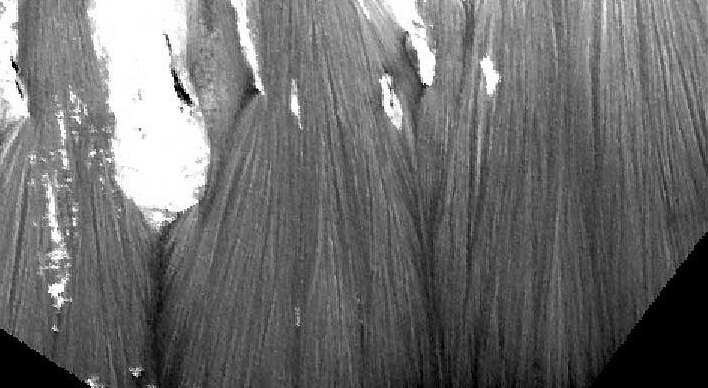 Sample scarp edge in layered unit in Melas Chasma or... Frozen Waterfalls on Mars? (6)
nessun commento
Parole chiave: Mars from orbit - controversial image