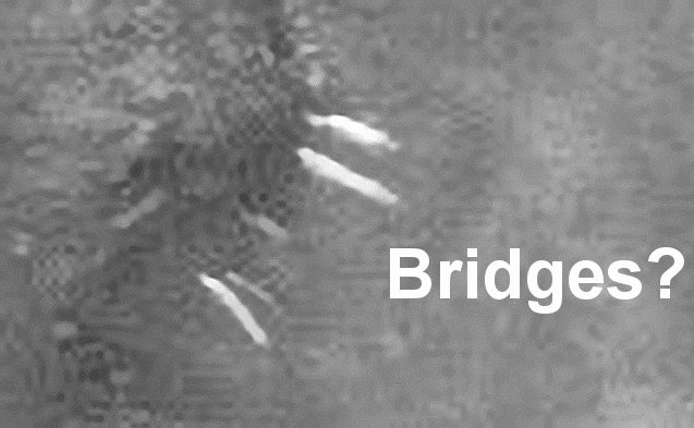 The "White Bridges" of Meroe Patera (Original NASA/MGS/MSSS b/w Frame - EDM)
Li abbiamo chiamati "ponti", ma ovviamente si tratta di qualcosa di molto diverso da una serie di "ponti ad arco". Per il Dr Feltri si potrebbe trattare di enormi bio-strutture; per il Dr Skipper si tratta di ciclopici manufatti in parte sepolti.
La nostra posizione al riguardo di questi "Bianchi Ponti" i quali si vedono anche in altre Regioni Marziane è interlocutoria: sappiamo che si tratta di caratterizzazioni superficiali talmente peculiari da potersi definire, in tutta tranquillità, cime Anomalìe di Superficie (Anomalìe che la NASA e l'ESA, ovviamente, non vedono e non commentano...); sappiamo che non sono dune e che la loro morfologia NON sposa la morfologia dell'ambiente a cui esse accedono (e dunque sono rilievi - tecnicamente - "alieni") e che, con ogni probabilità, si tratta di rilievi (effettivamente) di dimensioni enormi i quali non hanno riscontri similari nè sulla Terra, nè su nessun altro Corpo del Sistema Solare.

Questi, a nostro parere, sono i fatti.
Parole chiave: Mars from orbit - Syrtis Major Planum Region - Highly Controversial Surface Features
