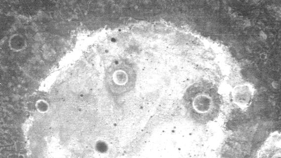 "Picasso" on Mars
nessun commento
Parole chiave: Mars from orbit - Craters - Unnamed Craters