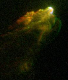 HH 1 and HH 2
"...It is a good thing for an uneducated man to read books of quotations..."

Winston Churchill
Parole chiave: Hubble Images