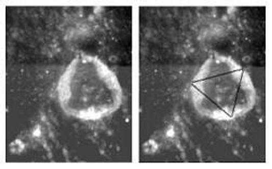 Ukert: the "pseudo-triangular" Lunar Crater
Piccola interruzione alla prolusione del Dr Feltri: anche Richard Hoagland e Mike Bara si sono dati da fare per (tentare) di "interpretare" il Cratere Ukert e questo è un frammento delle loro elucubrazioni (come sempre basate sulla fisica iperdimensionale e sulla costante ricerca di simmetrie anche laddove non ve n'è traccia alcuna...):"...Ukert’s equilateral message is notably significant to us. 
It is this precise 2-dimensional image of a 3-dimensional tetrahedron at Ukert that Hoagland decoded in, and related to, the mathematical relationships seen at Cydonia on Mars. 
It also reflects the singular symbology of ‘hyper dimensional physics’...".

Chiacchiere e jargon, secondo noi. Torniamo al Dr Feltri quindi...
Parole chiave: Investigations