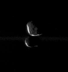 High-Phase in the Darkness: Janus and Epimetheus
This close pairing of Janus and Epimetheus shows the 2 moons at "high phase," meaning that only a thin sliver of sunlit terrain is visible on each moon. Portions of each are also lit feebly by reflected light from Saturn. 

Janus (181 Km, or about 113 miles across) is at top and Epimetheus (116 Km, or about 72 miles across) is below. 

The image was taken in visible light with the Cassini spacecraft narrow-angle camera on Dec. 25, 2005, at a distance of approx. 479.000 Km(roughly 298.000 miles) from Janus and about 455,000 Km (roughly 283.000 miles) from Epimetheus. The image scale is about 3 Km (approx 2 miles) per pixel on both moons. 
Parole chiave: Saturn's Moons - Janus and Epimetheus