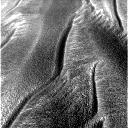 Side-Winders, on Sol 385 (4)
Come avete visto, queste "dunette sinuose" evidenziano alcune peculiarità le quali sembrano avere colpito anche i Tecnici del Centro Controllo Missione. Guardatele attentamente anche Voi e poi provate a mettere a confronto le immagini dei Side-Winders di Meridiani Planum con le tracce lasciate dai serpenti sulle sabbie dei deserti terrestri: sono, dimensioni a parte, tracce davvero MOLTO simili.
Attenzione però: dato che ogni cosa che viene detta in questo campo - specie se curiosa o stravagante - tende, di regola, ad essere rapidamente ripresa e fraintesa, noi desideriamo puntualizzare a chiare lettere che l'analogia stabilita fra dunette Marziane e tracce di serpenti è una semplice "curiosità", nulla di più. 
Noi NON abbiamo MAI detto nè IMPLICATO che i Side-Winders Marziani sìano il risultato (!) del passaggio di ciclopici serpenti sulla superficie di Meridiani Planum!
Parole chiave: Mars dunes - Side Winders