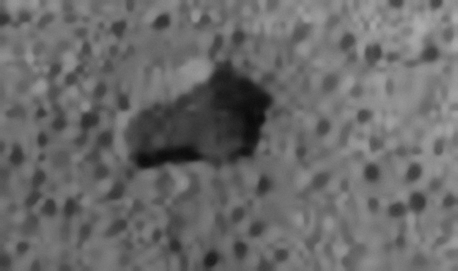 A possible answer to the "greenish" color of Meridiani (3) - Sol 923
In un arco di tempo "x" (minuti? Ore? O forse giorni?), questa pellicola di acqua liquida in parte evapora ed in parte viene assorbita dal terreno. 
In ogni caso essa, durante il suo stazionamento superficiale, contribuisce in maniera decisiva a compattare le sabbie e le polveri le quali assumono quell'aspetto di "sabbia bagnata" del quale si era parlato già da tempo. 

Conclusioni (interlocutorie): l'acqua superficiale dunque c'è, esiste, ma gli Scienziati interpellati dicono che essa non "emerge" dal sottosuolo, ma arriva al suolo tramite precipitazioni (nel senso anzidetto). 
Quest'acqua, sebbene in maniera lentissima - ma in base a processi fisici analoghi a quelli terrestri - modella (in parte) il panorama marziano e scioglie i sali superficiali esistenti i quali, poi, assieme all'acqua che li contiene, vengono assorbiti dal suolo (tramite le "Clessidre"?!?) e quindi vanno a depositarsi e stratificarsi poco al di sotto della superficie stessa.

Parole chiave: Martian Surface - Meridiani Planum