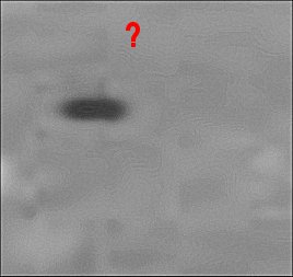 The "Dark Oval Spot" near Victoria (extra-detail mgnf)
nessun commento
Parole chiave: Victoria Crater - surroundings - controversial