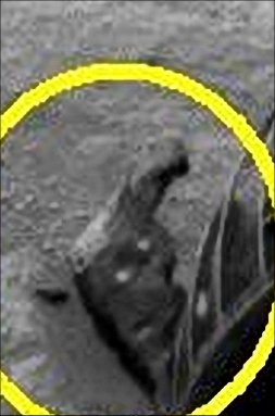 Martian "bone" (extra-detail mgnf) - Sol 693
...Allora? Che ne dite?

A noi, questo "oggetto" sembra - SEMBRA! - un "osso" (di un qualche tipo...). E a Voi?!?
Parole chiave: Extremely Controversial Frame