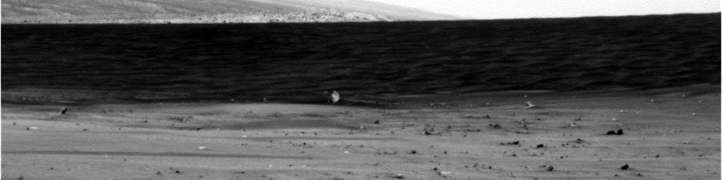 Dark horizon (1) - Sol 699
Una serie di frames (ne proponiamo 2) davvero strani: non crediamo che l'ombra nera che copre un'abbondante porzione del paesaggio sia un photo-artifact, nè la risultante di un qualche errore nella trasmissione dei dati relativi all'immagine. Sembrerebbe più un improvviso oscurarsi di una porzione del suolo a seguito - magari - di qualche grande nuvola che copre il Sole o, più probabilmente, l'ombra di una eclissi che transita accanto all'area su cui si trova Spirit, ma senza arrivare a coprire Spirit (per maggiori informazioni sulle eclissi marziane - davvero molto diverse dalle eclissi terrestri - Vi suggeriamo di andare a rivedere un frame Viking 1 molto famoso - nella Sez. "Mariner, Viking & MGS's Maps & Mars in the '70s", frame 23 - e quindi rileggere la caption originale).

Caption originale:"Right Pan-Cam Non-linearized Sub-frame EDR acquired on Sol 699 of Spirit's mission to Gusev Crater at approx. 10:17:27 MLT.
Camera commanded to use Filter 2 (754 nm)".
Parole chiave: Controversial frame - possible Martian Eclypse