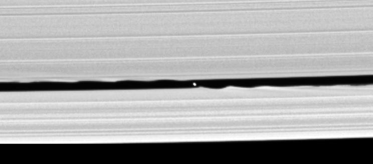 S/2005 S1: The "Wave-Maker" (1)
La NASA conferma che le curiose ed enigmatiche "onde" le quali caratterizzano il margine esterno dell'Anello "A" di Saturno, proprio a ridosso della "Divisione Keeler" sono, con ogni probabilità, causate da una piccola luna del diametro di circa 7 Km, dotata di una discreta albedo (al pari delle particelle che formano il vicino Anello) e che è stata temporaneamente chiamata S/2005 S1.

Caption NASA originale:"Imaging scientists predicted the moon's presence and its orbital distance from Saturn after July 2004, when they saw a set of peculiar spiky and wispy features in the Keeler Gap's outer edge. The similarities of the Keeler Gap features to those noted in Saturn's F-Ring and the Encke Gap led the scientists to conclude that a small body, a few Km across, was lurking in the center of the Keeler Gap, awaiting discovery".
Parole chiave: Saturn's Moons - the "Wave-Makers"