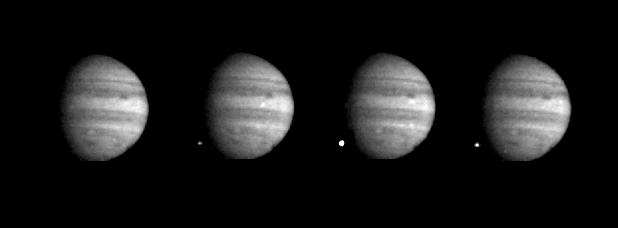 Shoemaker-Levy 9: the W-impact (1)
These four pictures, taken 2,3" apart, show the early meteor, or "bolide", stage of the impact of the last major fragment of Comet Shoemaker-Levy 9 into Jupiter's night side. In the first image (8:06:12 UTC), no impact is visible. In the second picture, a bright point of light appears superimposed on the dark side of Jupiter's Southern Hemisphere. In the third image, the impact has grown so bright that it saturates the CCD picture element at the center of the image of the impact flash. By remarkable coincidence, the HST took a picture of the W-impact, also in green light, within 1" of this image, providing a complementary view of very faint associated phenomena at very high altitudes in Jupiter's atmosphere, just above the planet's edge as seen from Earth. In the final Galileo image (8:06:19 UTC), the impact flash has faded appreciably. 
These images are pictures 5 through 8 of a series of 56 placed on a single frame in time-lapse fashion. We interpret the rapid rise and fall of this initial peak over just 7 seconds to be the bolide phase of the W fragment's impact, analogous to the flash of light of meteors entering Earth's atmosphere. Images immediately following this show that the luminosity continues to fade over the next 15 seconds.
Parole chiave: Comet Shoemaker-Levy 9