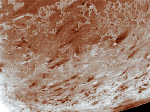 Triton from Voyager 2 (enhanced real colors)
Un dettaglio della superficie di Tritone, sempre ripresa dal Voyager 2 (da notare che le gradazioni di colore e, conseguentemente, la qualità del dettaglio e dei particolari, sono state artificiosamente accentuate/i).
Una curiosità: a quanto è stato possibile accertare sino ad ora, le caratteristiche morfologiche superficiali di Tritone sembrano davvero molto simili a quelle di Plutone. Due mondi simili (due KBOs?) con un comune passato remoto e che, magari, sono destinati ad un comune lontano futuro...
Parole chiave: Neptune's Moons - Triton