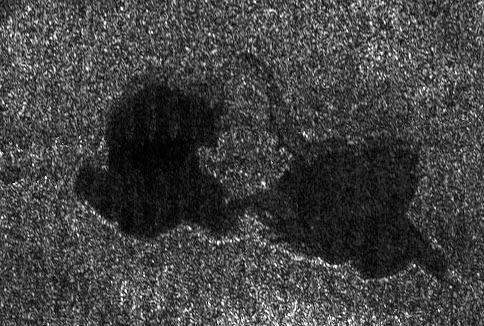 Titanian Northern Lakes (6)
Caption NASA originale:"This Cassini radar image shows two lakes "kissing" each other on the surface of Saturn's moon Titan. 
The image has been taken from a fly-by occurred on Sept. 23, 2006, and covers an area of about 60 Km (approx. 37 miles) wide by 40 Km (approx. 25 miles) high. 
This pass was primarily dedicated to the ion and neutral mass spectrometer instrument, so although, the volume of radar data was small, scientists were amazed to see Earth-like lakes. With Titan's colder temperatures and hydrocarbon-rich atmosphere, however, the lakes likely contain a combination of methane and ethane, not water. 

In this image, near 73° North Latitude and 46° West Longitude, two lakes are seen, each 20 to 25 Km (approx. 12 to 16 miles) across. They are joined by a relatively narrow channel. The lake on the right has lighter patches within it, indicating that it may be slowly drying out as the Northern Summer approaches".
Parole chiave: Saturn's Moons - Titan
