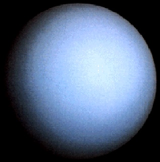 Uranus from Voyager 2
L'immagine che state osservando venne scattata dalla Sonda Voyager 2 nel 1986. Fu grazie a questa Sonda (l'unica - ad oggi - che sia mai passata nelle vicinanze del Pianeta) che gli Scienziati riuscirono a catturare qualche dettaglio del Sistema di Urano il quale, al pari dei Sistemi di Nettuno, Giove e Saturno, evidenzia l'esistenza di anelli intorno al Pianeta (ma molto sottili e deboli) ed un elevato quantitativo di lune (5 maggiori ed una quindicina minori).
Parole chiave: Uranus