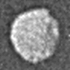 Puck - Voyager 2
nessun commento
Parole chiave: Uranus Moons - Puck