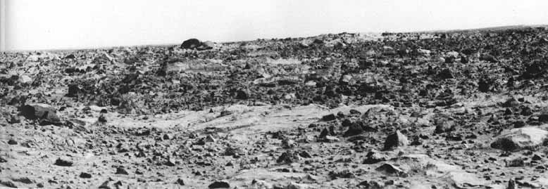 The surroundings of Viking 1 Lander (1)
Commenti originali:"These pictures show a knobby exposure of bedrock broken by vertical fractures. Some of the protuberances are so deeply eroded that they almost form detached boulders. Indeed, we believe that many of the boulders at this site form by this mechanism of "in situ" weathering. The area of bedrock is more clearly delineated. Horizontal rock surfaces have been swept clear of sediment. The fact that this rock weathers in a different fashion than the rocks displayed in other frames suggest a compositional difference between the two exposures of bedrock. However, both rock types are believed to be representative of volcanic lavas that inundated the entire region early in Martian history.
Finding bedrock at this landing site was a surprise. Among other things, it indicates that Martian geologic history is more complex than Lunar history. If a thick layer of ejected deposits once covered this region, it has been subsequently removed by wind, water, or maybe even ice in the form of glaciers".
Parole chiave: Mars Panorama - Mars rocks, sand and debris