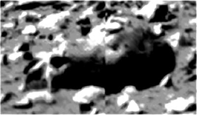 Skull-Rock: pseudo-rock or pseudo-fossil? (4) - from Sol 44
Qualche considerazione: innanzitutto si vede che è presente una linea centrale verticale che “taglia” il frame (ergo l’Anomalia) in due tronconi. Ritengo che si tratti di una linea di cosiddetto "stop-rendering".
La parte sinistra dell'Anomalìa poggia sulla superficie come se si trovasse su di un treppiedi; al di sotto sembra che filtri della luce (questa parte dell'Anomalìa la considero come la "parte frontale" del presunto scheletro); manca la parte mandibolare (sempre che vi sia mai stata...).

Suppongo che un'analoga/simile configurazione esteriore dell'Anomalìa esista anche dalla parte opposta rispetto al nostro angolo visuale (e mi riferisco alla parte di Anomalìa che potrebbe rappresentare le "orbite" - o cavità oculari - di questa "creatura").

Ma prendiamo in considerazione la parte sinistra dell'Anomalìa.
Parole chiave: Controversial Mars' Surface Features