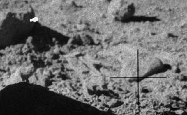 AS 16-108-17698 - Anomalous Surface Features (detail mgnf n. 2)
Questo bizzarro - ma netto - "disegno" che vediamo sulla superficie, invece, potrebbe essere spiegato razionalmente pensando, ancora una volta, ad un'impronta parziale lasciata da un Astronauta e che ci appare distorta - dal nostro angolo visuale - a causa del fatto che il terreno, in questa piccola area ripresa, è fortemente irregolare - in parte roccioso ed in parte polveroso, con la conseguenza che, laddove c'era polvere, una porzione dell'impronta è rimasta impressa e ben visibile mentre laddove c'era solo roccia (o pochissima polvere) non è rimasta alcuna traccia visibile delle zigrinature caratteristiche delle suole degli stivali degli Astronauti).

Si tratta solo di un'ipotesi, naturalmente.
Parole chiave: Lunar Surface - Extremely Unusual Surface Feature - Possible Artifact