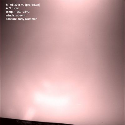 A whole Sol... (3)
nessun commento
Parole chiave: Martian Sky - natural colors