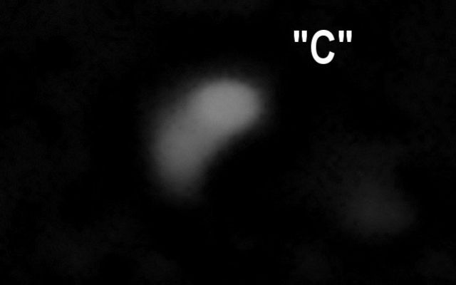 Anomalies near Japetus (Object "C" - detail super-mgnf)
E a questo punto le (provvisorie e questionabili) conclusioni già le conoscete, ma ci sembra giusto riportarle in chiaro e per esteso:

l'oggetto "A" potrebbe effettivamente essere un "detrito spaziale vagante". I chiaro/scuri che si vedono chiaramente attraverso i detail mgnfs ci portano, sulla base della nostra sensibilità ed esperienza, ad escludere comunque ed in ogni caso l'eventualità per cui si possa trattare di un image-artifact;

l'oggetto "B" ha tutta l'aria di essere un image (o photo) artifact. Non sapremmo dire/definirne l'origine, ma la sensazione al riguardo - ricordate: in questo campo la "sensazione", spesso, è l'elemento discriminante tra "svista" e "scoperta"... - è che si tratti proprio di un qualcosa di NON reale.

l'oggetto "C", infine, lo collochiamo a pieno diritto nella Classe degli "Irrisolvibili" e cioè il "calderone" in cui vanno a finire tutti quei dettagli fotografici che, per un motivo o per l'altro, non è possibile classificare - neppure con approssimazione - come image-artifact o come (candidati) "oggetti reali".
Parole chiave: Highly Controversial Frame - Voyager 2 Series