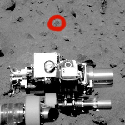 194? (Sol 13)
Un "occhio" davvero attento ed un nuovo enigma Marziano (sebbene “vecchio” di ormai oltre due anni – poiché relativo ai primi Soles di Spirit) ci viene proposto dal nostro Amico (e Socio) Lorenzo Leone: nella Cerchiatura Rossa si legge – diremmo abbastanza bene – un numero: "194" (o anche solo "19", o "1,9", secondo altri Ricercatori ed Appassionati.

Citiamo il nostro Amico Lorenzo Leone:"Un numero per indicare chi o cosa ha modificato (nota LunExIt: "manipolato") il frame? Come sempre, chi può saperlo? Personalmente, però, io non credo a giochi di luci e ombre e propenderei per il fatto che quello sia davvero un numero, certo non lasciato da entità aliene presenti sul Pianeta".

Noi siamo d'accordo con Lorenzo: il numero (o qualunque altra cosa essa sia) non è certamente un prodotto "Made in Mars" e non pensiamo che sia il risultato di ombre, riflessi e quant’altro (si veda a tal riguardo anche il commento al frame che precede). 

Tuttavia, oltre alla teoria che vede nel numero una possibile “firma”, noi Vi proponiamo anche una lettura alternativa di questo intrigante fenomeno.
Aumentando le dimensioni del frame (ed anche sfuocandolo: in questo caso ed ai nostri fini non importa) noterete che la tessitura, ora più ed ora meno omogenea dell'immagine (la "pixellatura", come dicono gli Esperti), si frammenta e diventa totalmente caotica proprio sull'area dove ora c’è il "194". 
A nostro parere le tre cifre possono, si, essere un segnale identificativo di un certo tipo di manipolazione, ma esse potrebbero anche essere il risultato, incredibilmente semi-casuale, della estrazione e del disassemblamento di una porzione del frame originale (una porzione piccola, ma - probabilmente - molto importante) e quindi del successivo riposizionamento (caotico) dei pixels originariamente estratti. 
Insomma: il “194” di questo frame potrebbe essere il risultato finale di un "taglia, rimescola ed incolla" che, alla fine, in tantissimi frames NavCam e PanCam soprattutto, produce quegli inspiegabili blurring del paesaggio i quali rendono svariati dettagli del tutto inidentificabili. 

Fantascienza? Questo decidetelo Voi e, comunque, complimenti a Lorenzo!



Parole chiave: Highly controversial frame