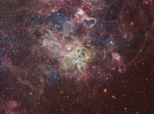 30-Doradus and the Tarantula Nebula
First cataloged as a star, 30 Doradus is actually an immense Star Forming Region in nearby galaxy "The Large Magellanic Cloud". The Region's spidery appearance is responsible for its popular name, the Tarantula Nebula, except that this tarantula is about 1000 LY across, and 180.000 LY away in the Southern Constellation "Dorado". If the Tarantual Nebula were at the distance of the Orion Nebula (1500 LY), the nearest stellar nursery to Earth, it would appear to cover about 30° on the sky or 60 full moons. The spindly arms of the Tarantula Nebula surround NGC 2070, a cluster that contains some of the intrinsically brightest, most massive stars known. Intriguing details of the nebula's core can be seen in this remarkable skyscape, a composite of 31 hours of exposure time. 
This cosmic Tarantula also lies near the site of the closest recent supernova (1987a).
Parole chiave: From Earth Images