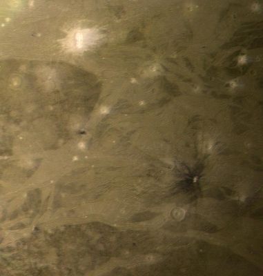 The equatorial Region of Ganymede
Caption NASA originale:"This picture is relevant to a Regione near the Equator of Ganymede, and has relatively subdued colors in the visible part of the spectrum. The most striking features are the bright ray craters which have a distinctly bluer color, appearing white against the redder background. 
Ganymede's surface is known to contain large amounts of surface ice and it appears that these relatively young craters have spread bright fresh ice materials over the surface. 
Likewise, the lighter color and reflectivity of the grooved areas suggest that here, too, there is cleaner ice. We see ray craters with all sizes of ray patterns, ranging from extensive systems, down to craters which have only faint remnants of bright ejecta patterns. 
This variation suggests that, as on the Moon, there are processes which act to darken ray material - probably the so-called "gardening", by micrometeoroid impacts".
Parole chiave: Jupiter's Moons - Ganymede