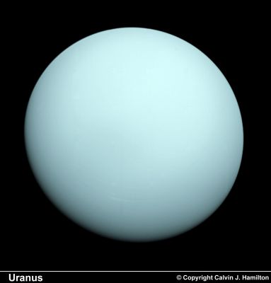 Uranus from Voyager 2
Uranus Data and Statistics 
Discovered by William Herschel 
Date of discovery = AD 1781 
Mass (kg) = 8.686e+25 
Mass (Earth = 1) = 1,4535e+01 
Equatorial radius = 25.559 Km
Equatorial radius (Earth = 1) = 4,0074 
Mean density (gm/cm^3) = 1,29 
Mean distance from the Sun = 2.870.990.000 Km
Mean distance from the Sun (Earth = 1) = 19,1914 
Rotational period (hours) = - 17,9 
Orbital period (years) = 84,01 
Mean orbital velocity = 6,81 Km per second
Tilt of axis = 97,86°
Orbital inclination = 0,774°
Equatorial surface gravity (m/sec^2) = 7,77 
Equatorial escape velocity = 21,30 Km per second
Magnitude (Vo) = 5,52 
Mean cloud temperature = - 193°C 
Atmospheric pressure (bars) = 1,2 
Atmospheric composition: Hydrogen 83%; Helium 15%; Methane 2% 
Parole chiave: Uranus