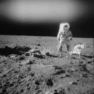 AS 12-49-7319 - Standing alone with LIGHT
Una sorgente luminosa molto intensa sta "calando" su uno degli Astronauti dell'Apollo 12 oppure la fotografia è solo "sun-struck" (e cioè ha "preso luce"), come tante altre?
Ci sono buoni argomenti, immagine alla mano, per sostenere entrambe le ipotesi. Noi pensiamo, in tutta onestà, che si tratti solo di una fotografia che ha preso luce. Esiste un elemento che, tuttavia, depone pesantemente a favore dell'ipotesi secondo cui ci sarebbe effettivamente una sorgente luminosa intensa e reale che proviene dall'alto. 
Sapreste individuarlo?
Parole chiave: Postcards from the Moon - Controversial