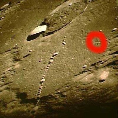 AS 12-51-7485 - Anything's down there? (1)
C'è qualcosa (oltre a delle assolutamente evidenti deformazioni da eccessiva compressione del frame originale) nella Cerchiatura Rossa?

Coordinate del luogo ripreso: 
Latitudine ---> 10,50° Sud
Longitudine ---> 7° Ovest
Parole chiave: The Moon from orbit - possible Surface Anomaly