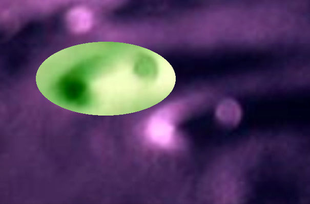 AS 15-91-12403 - The Lunar "Hangars" (2) - invert-detail mgnf
"...non è da poco, poi, il fatto che le due anomalie ('i due rilievi') si trovino collocati nella medesima angolazione e presentino zone di luce e d'ombra pressochè identiche!! Ma cosa sono, dunque? Cupole lunari? Cupole lunari gemelle? O forse due astronavi poggiate nella medesima posizione sul suolo lunare? ...........Anche questa è un ipotesi che non scarterei!!!".

OldGrey, ovviamente, ha ragione. Ed è per questo che noi non scartiamo nulla. La Verità è che rilievi superficiali come quelli di Wolff "B" sembrano fatti apposta per scatenare controversie: troppo simili, troppo "allineati", troppo...poco naturali per esserlo davvero. Il Dr Feltri, da parte sua, ci ha raccontato qualcosa. Qualcosa che Vi raccontiamo...
Parole chiave: The Moon from orbit - Highly controversial frame