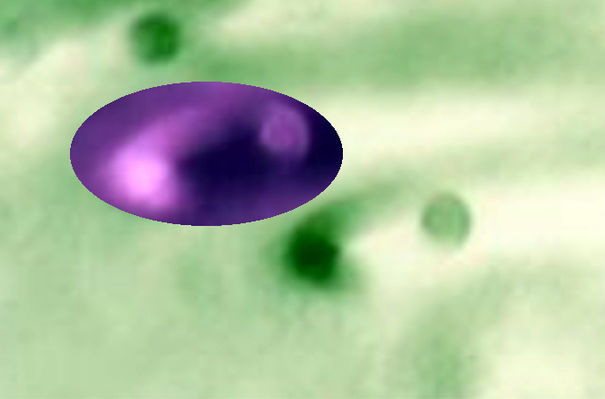 AS 15-91-12403 - The Lunar "Hangars" (3) - invert-detail mgnf
"...In quanto al fotogramma AS 12403, scattato ufficialmente con il teleobiettivo da 250 mm., l'ho già esaminato tempo fa, ma è isolato e sfocato, per cui poco aggiunge alla conoscenza dell'area in questione, situata tra il cratere Wallace ed il "Monte" Wolff. O meglio, forse sarebbe divertente controllare più attentamente l'orografia di Wolff (come, per altro, quella altrettanto singolare del "Vitruvius Mons", di Apollo 17)…
Il frame è stato scattato in una sequenza "anomala" e quasi sicuramente fasulla, in quanto la striscia partiva con l'AS 12395 e segg., imperniati su Tsiolkovsky e poi scivolava su altri soggetti finendo con il frame incriminato. 
E visto che il soggetto del 12403 era molto interessante ed il 12404 inquadrava già la Terra, bisognerebbe concludere che gli Astronauti sono dei poveri dementi e francamente non credo proprio che lo siano...
Dal listing ufficiale escono altri particolari, tra cui il fatto che, contraddicendo l'altra versione ufficiale, si assegna al 12403 l'obbiettivo da 80mm. anziché da 250. In conclusione, come "compito a casa", assegnerei quello di individuare le formazioni in oggetto nei frames orbitali Apollo, Lunar Orbiter e Clementine (Lat. 15° N e Long. 352° E). Qualcosa di interessante uscirà di sicuro...".

Parole chiave: The Moon from orbit - Highly controversial frame