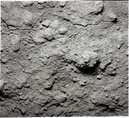 AS 12-57-8454 (HR) - Soil surface NOT greatly disturbed by the LM descent engine exhaust
nessun commento
Parole chiave: Lunar Surface - Surface not greatly disturbed by LM descent engine exhaust