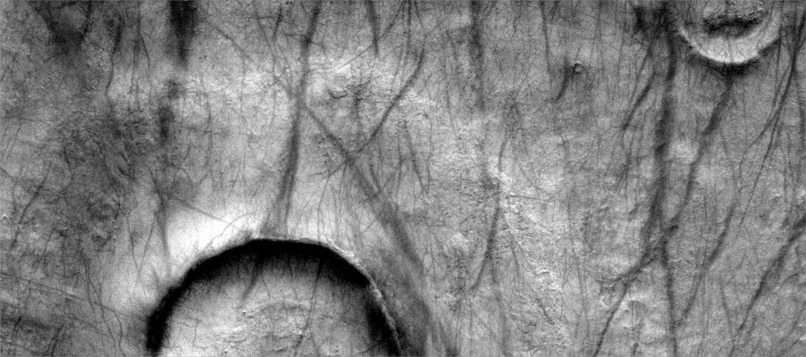 Deep Dust Devil Tracks between Brashear and Ross Crater (Original NASA/JPL/ASU b/w Frame)
Caption originale:"Dust Devil activity in this region between Brashear and Ross Craters is very common. 
Large areas full of DD tracks surround the South Polar Region of Mars. 

Image information: VIS instrument;
Latitude: - 55,2° North;
Longitude: 244,2° East;
Resolution: 17 meter/pixel.
Parole chiave: Mars from orbit - Dust Devils' tracks - Controversial