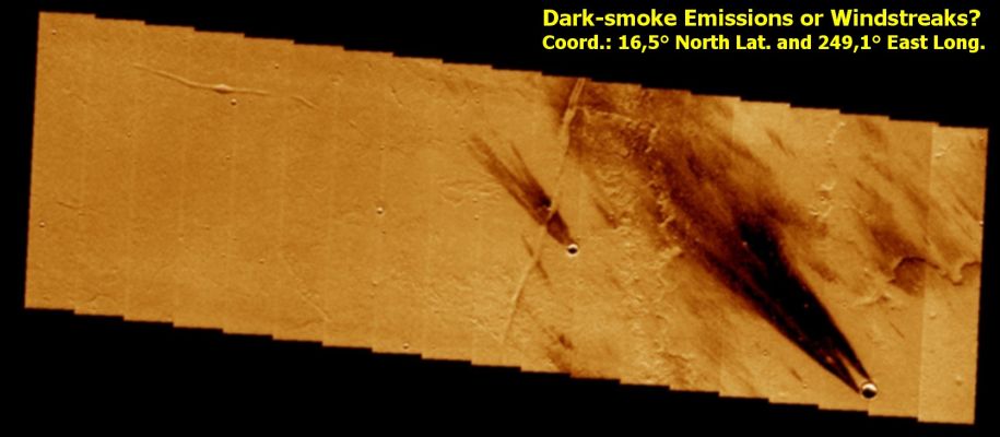 Dark-Smoke Emissions or Windstreaks? (False Colors)
Caption NASA:"The dark windstreaks in this image are located on volcanic flows North-West of Ascraeus Mons".

Nota: la NASA, come sempre, ci dice tutto e non ci dice nulla. 

I Windstreaks, se ci pensate bene, non sono altro che le “impronte” lasciate dal vento allorchè esso soffia - in modo particolarmente violento - su rilievi (più o meno) elevati rispetto al Datum. 
Rilievi che “proteggono” la superficie che si trova alle loro “spalle” (ossìa nel loro lato sottovento).
E' così, infatti, che si spiegano i Windstreaks sui lati opposti rispetto ai versanti sopravvento di picchi, collinette, crateri con bordi elevati e, talvolta, massi e macigni di grandi dimensioni. 
Su scala più piccola, queste "impronte del vento", sono conosciute come "Windtails" e si possono vedere in svariati frames Viking, Pathfinder, Spirit ed Opportunity.
Come le riconosciamo? Le riconosciamo come strisce di colore più chiaro o più scuro (e comunque diverso) rispetto al resto del paesaggio circostante il rilievo dal quale si dipartono; strisce del tutto similari a quelle dei loro reciproci più grandi.

E che cosa unisce i Windstreaks alle Windtails? Ma è chiaro: si tratta della meccanica di formazione, che è del tutto identica per entrambi. 
Ora, osservate qualche frames delle nostre Gallerie dedicate a Marte (ed anche alla Luna, se volete) che Vi mostra i bellissimi Windstreaks che caratterizzano innumerevoli rilievi del Pianeta Rosso (guardate i Windstreaks che si formano in corrispondenza di crateri, soprattutto) e poi osservate i Windstreaks di questo frame. Una differenza c'è, ed è notevole!
Ricordate: il vento "spazza" il suolo di Marte; i rilievi che si "oppongono" al vento, proteggono il suolo. 
Il contrasto fra suolo "spazzato" e suolo "protetto" si evidenzia nel Windstreak ed il Windstreak, quindi, è la porzione di suolo opposta rispetto al rilievo sopravvento la quale rimane intatta nonostante il (o comunque meno colpita dal) soffiare del vento – Windstreak di Tipo 1). 

I Windstreaks che vedete in questo frame, invece, sono esattamente l'opposto di quanto sopra descritto: essi sono i segni di un "cambiamento" del suolo (un suo divenire più scuro, quasi nero) a seguito del soffiare del vento. 
Quindi essi non sono l'evidenza oggettiva di un'area superficiale intatta (in tutto od in parte), bensì l'opposto! Essi evidenziano, a nostro parere, un deposito di materiale il quale è stato "caricato" dal vento e quindi spinto (soffiato via) nella direzione in cui esso - vento - spirava.

Questo fenomeno (tipicamente vulcanico, in origine) si verifica - ad esempio - anche sulla Terra allorchè, durante un'emissione di fumo (o comunque durante un'emissione di materiale dalle profondità - pensate ad uno sbuffo di fumo o di cenere vulcanica, od anche ad un geyser), inizia a spirare vento. 
In direzione opposta rispetto al camino, si forma il Windstreak.
Un Windstreak, però, che "segna e definisce" l'area superficiale toccata da quanto trasportato dal vento e NON l'area superficiale intatta poiché protetta dal rilievo posto sopravvento (Windstreak di Tipo 2)!

I Windstreaks di questo frame sono, a nostro avviso, di Tipo 2.

Ora, se questo è vero, la conclusione del commento è in queste domande: che cosa stava fuoriuscendo dalle prossimità di quei crateri ripresi da Mars – Odyssey quando il vento ha iniziato a soffiare, disegnando quello che ora vediamo? 
Era cenere, erano polveri, era fumo?

E soprattutto, che cosa c'è "al di sotto della superficie" che è ancora così vivo e vitale? 
Quando Marte si risveglierà, che cosa potrebbe accadere?...

Parole chiave: Mars from orbit - Windstreaks - Controversial