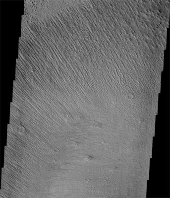 Yardangs in Elysium Planitia (Original NASA/JPL/ASU b/w Frame)
Caption NASA:"The multiple trends of Yardangs in this image indicate that the (Dominant) Winds in the Elysium Region have changed direction several times". 

Image information: VIS instrument;
Latitude: 2,6° North Lat. and 151,2 East Long;
Resolution: 18 meter/pixel.
Parole chiave: Mars from orbit - Aeolian Features - Yardangs in Elysium Planitia