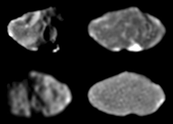 Four views of Amalthea
These 4 images of Amalthea were taken by Galileo's Solid State Imaging System at various times between February and June 1997. North is approx. up in all cases. Amalthea, whose longest dimension is about 247 Km (154 miles) across, is tidally locked (like Thebe) so that the same side of the moon always points towards Jupiter. In such a tidally locked state, one side of Amalthea always points in the direction in which Amalthea moves as it orbits about Jupiter. This is called the "leading side" of the moon and is shown in the top 2 images. The opposite side of Amalthea, such as the "trailing side," is shown in the bottom pair of images. The Sun illuminates the surface from the left in the top left image and from the right in the bottom left image. Such lighting geometries, similar to taking a picture from a high altitude at sunrise or sunset, are excellent for viewing the topography of the satellite's surface such as impact craters and hills. In the two images on the right, however, the Sun is almost directly behind the spacecraft. This latter geometry, similar to taking a picture from a high altitude at noon, washes out topographic features and emphasizes Amalthea's albedo (light/dark) patterns. It emphasizes the presence of surface materials that are intrinsically brighter or darker than their surroundings. The bright albedo spot that dominates the top right image is located inside a large south polar crater named Gaea.
Parole chiave: Jupiter Moons - Amalthea
