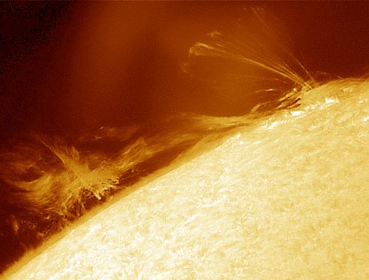 At the edge of the Sun
Caption NASA originale: "Dramatic prominences can sometimes be seen looming just beyond the edge of the Sun. A Solar Prominence is a cloud of solar gas held just above the surface by the Sun's magnetic field. The Earth would easily fit below the prominence on the left. A quiescent prominence typically lasts about a month and may erupt in a Coronal Mass Ejection (CME) expelling hot gas into the Solar System. Although very hot, prominences typically appear dark when viewed against the Sun, since they are slightly cooler than the surface. The above image - in false color - was taken on June 1st, 2003, from Stuttgart, Germany, with a simple amateur telescope and camera".
Parole chiave: Sun prominences