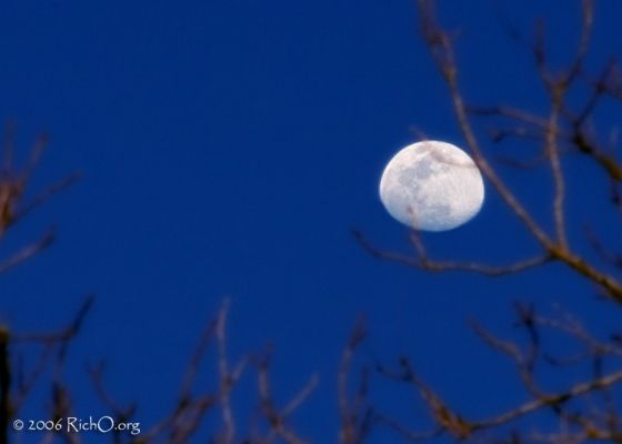 Luna d'Autunno
nessun commento
Parole chiave: The Universe Inside