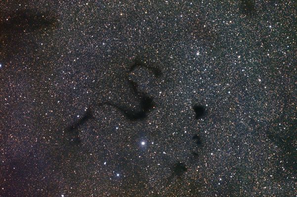 Barnard 72 - The "Black Snake Nebula"
Caption NASA originale:"Dark nebulae snake across a gorgeous expanse of stars in this wide-field view toward the constellation Ophiucus and the center of our Milky Way Galaxy. In fact, the central S-shape seen here is well known as the "Snake Nebula". It is also listed as Barnard 72 (B72), one of 182 dark markings of the sky cataloged in the early 20th century by astronomer E. E. Barnard. Unlike bright emission nebulae and star clusters, Barnard's nebulae are interstellar dark clouds of obscuring gas and dust. Their shapes are visible in cosmic silhouette only because they lie in the foreground along the line of sight to rich star fields and glowing stellar nurseries near the plane of our Galaxy. Many of Barnard's dark nebulae are themselves likely sites of future star formation. Barnard 72 is a few light years across and about 650 light years away".
Parole chiave: From Earth Images